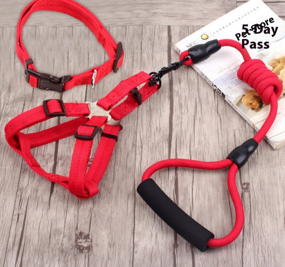 dog chain, dog collar, pet harness rope