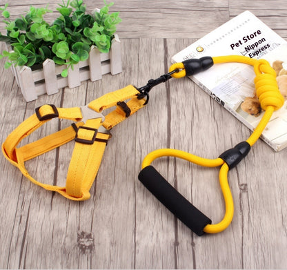 dog chain, dog collar, pet harness rope