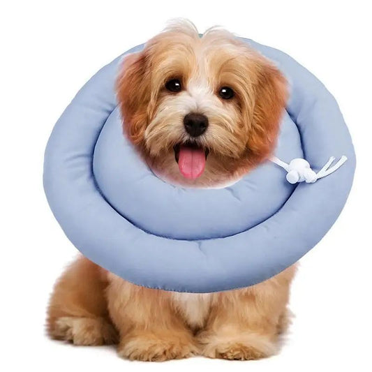 Elizabethan Collar Cute Cat Cone Collar Dog Elizabethan Collar Adjustable Wounds Recovery Collar Waterproof Dog &amp; Cat Neck Cones